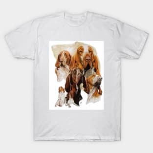 Bracco Italiano T-Shirt